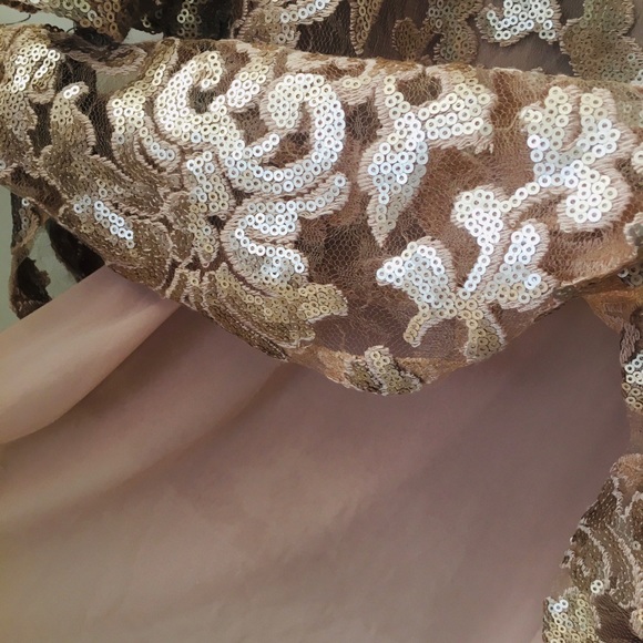 Sequin Embroidery Dress - Picture 5 of 5